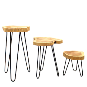 Ensemble de 3 Supports pour Plantes en Bois Gamell - Naturel