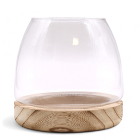 Terarium Moyen sur Bois de Tung Naturel - 15x15cm