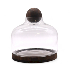 Ex-Large Terarium Bouchon Boule sur Bois de Tung Foncé - 23x23cm