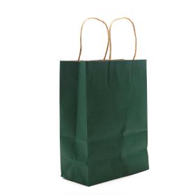 12x Sac en Papier avec Poignée en Corde (16x22x8cm) - Vert (130g)