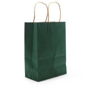 12x Sac Cadeau en Papier avec Poignée en Corde Large (26x32x12cm) - Vert (130g)