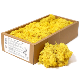 Mousse de Renne de Décoration de Qualité - Jaune - Boîte de 635g