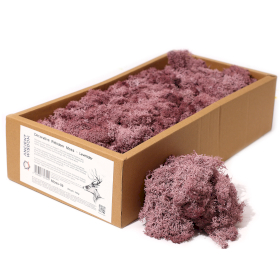 Mousse de Renne de Décoration de Qualité - Lavande - Boîte 635g