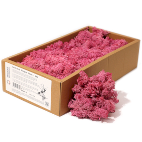 Mousse de Renne de Décoration de Qualité - Rose - Boîte de 635g