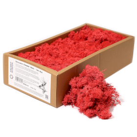 Mousse de Renne de Décoration de Qualité - Rouge Feu - Boîte 635g