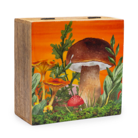 Grande Boîte Carrée 15x17,5x8cm - Design Champignon Marron