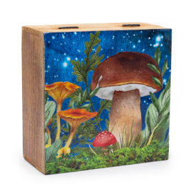 Grande Boîte Carrée 15x17,5x8cm - Motif Champignon Sarcelle