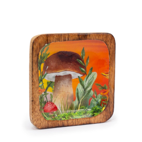 Grand Vide-Poches Carré 15x15x2.5cm - Motif Champignon Marron