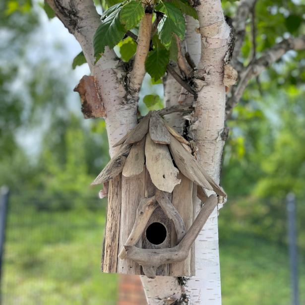 Nichoirs À Oiseaux Et À Abeilles