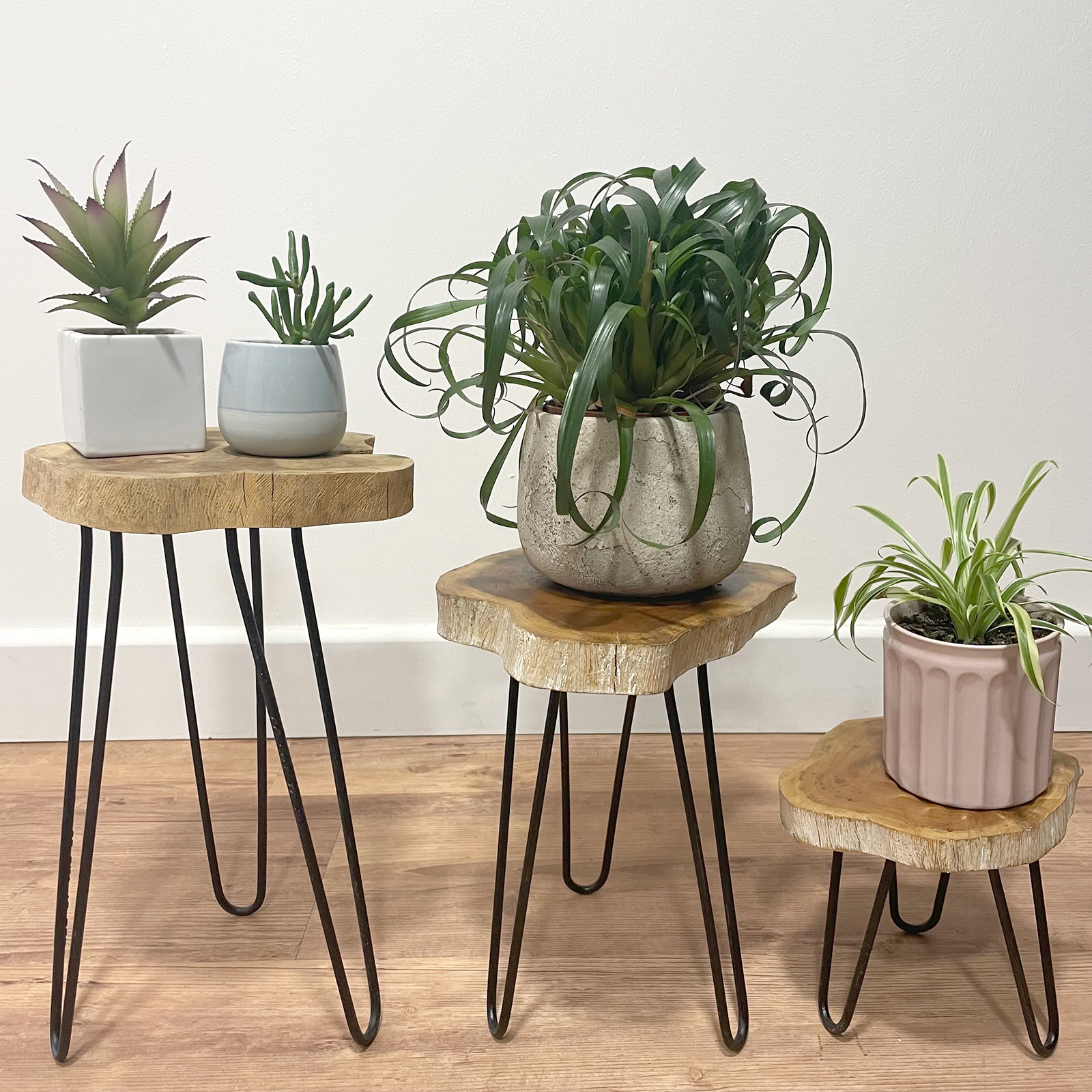 Ensemble de 3 supports pour plantes en Bois