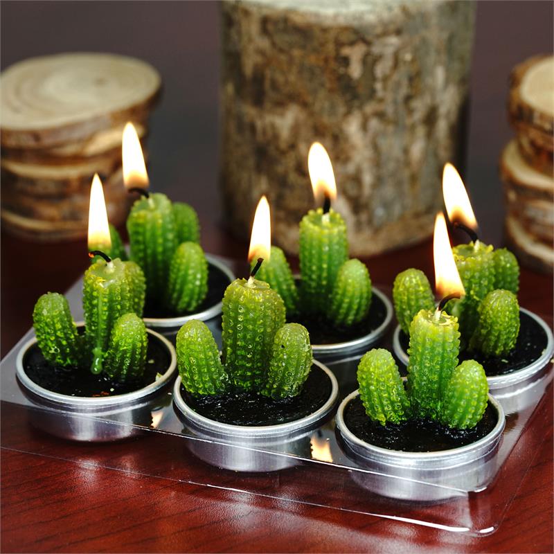 Bougie Cactus - AWGifts-France