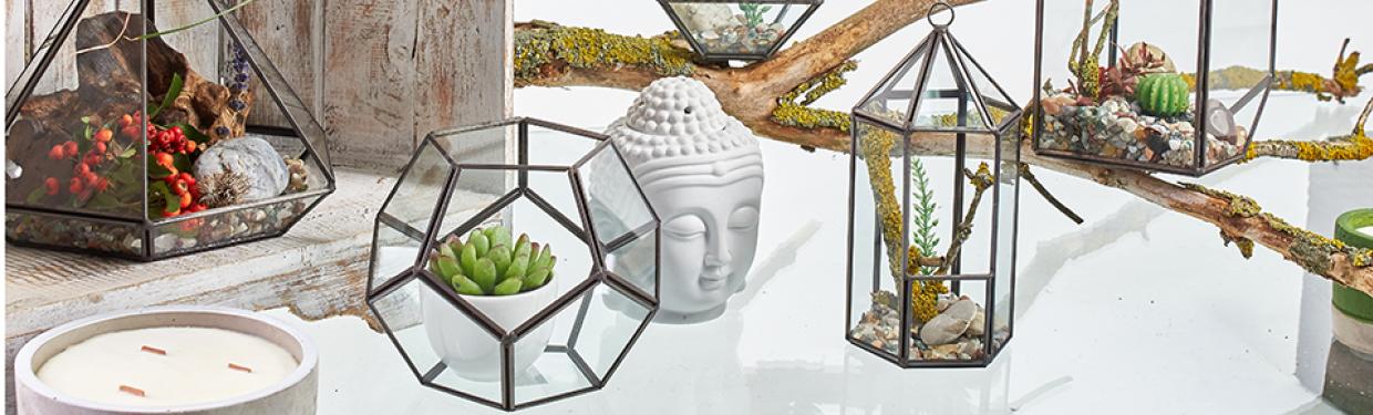 Terrarium en Verre - AWGifts France